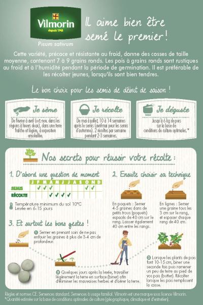 Légumes Secs - Pois Nain à Grain Rond Très Hâtif d'Annonay - 20 m - MEDIA_PACKAGING_VERSO